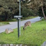 17 Mile Drive
