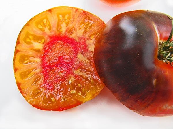 Lucid Gem Tomato