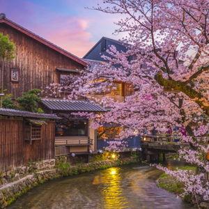 Japan trip (credit card)
