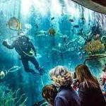 Aquarium of the Pacific