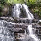 Laurel Falls