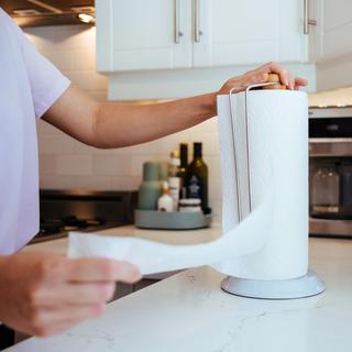 Roll Model Paper Towel Holder