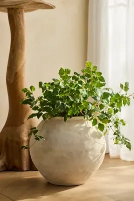 Rounded Jar Terracotta Planter