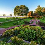 Take a Walk in Lynch Park
