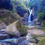 Coffee Tour & Waterfall Adventure