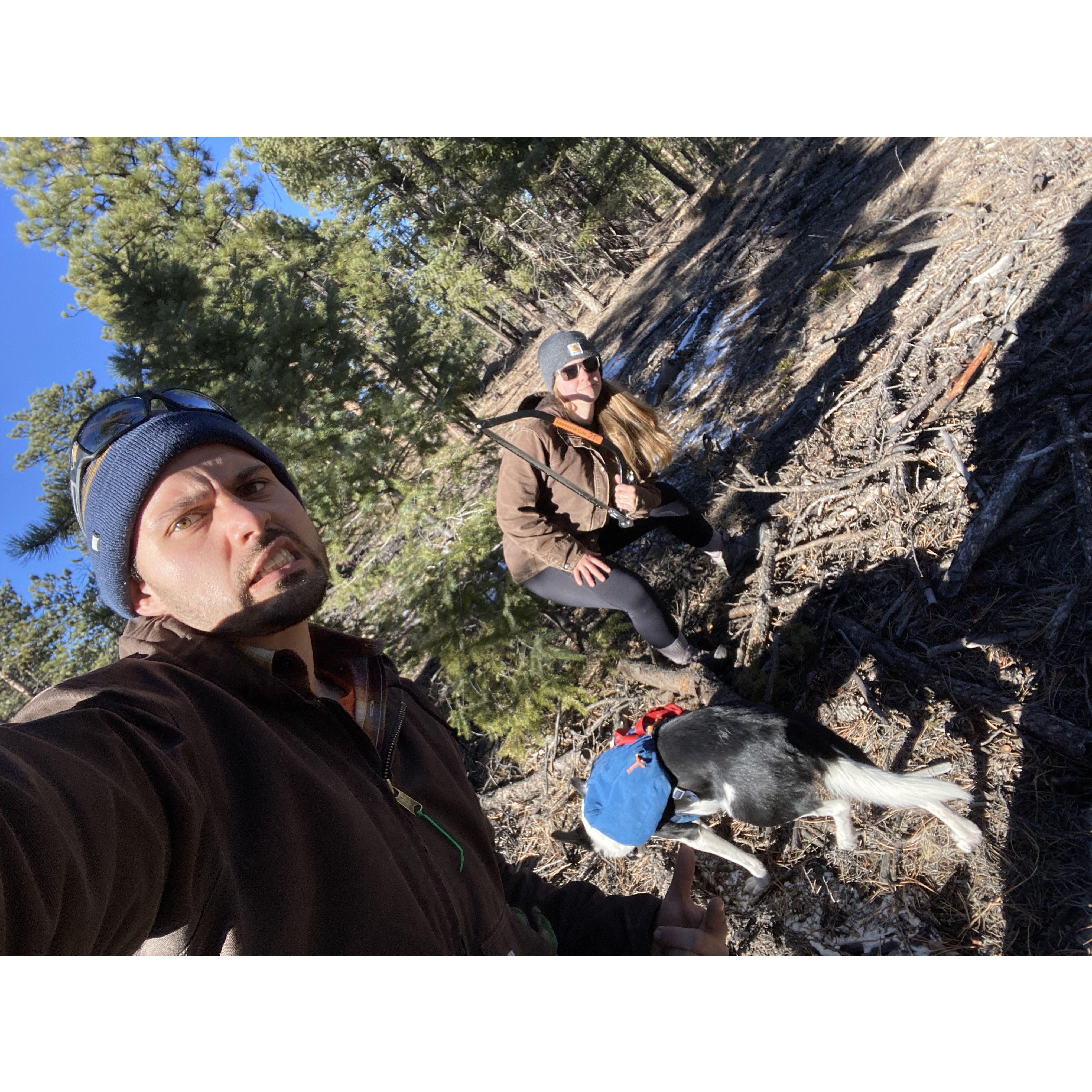 Cutting down our Chirstmas tree