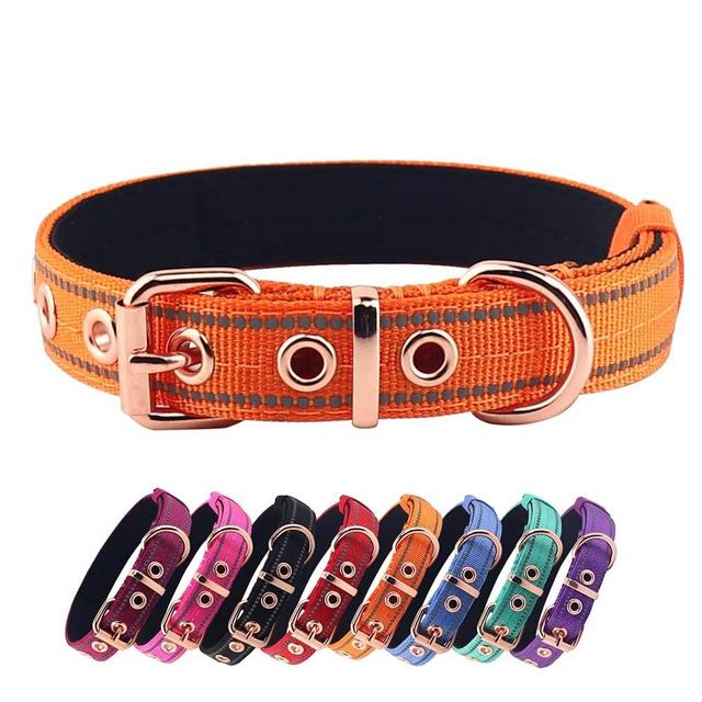 Yunleparks Neoprene Padded Dog Collar,Nylon Dog Collar for Small Medium Large Dogs,Heavy Duty Dog Collar with Metal Buckle,Adjustable Reflective Dog Collar (Medium, Orange)