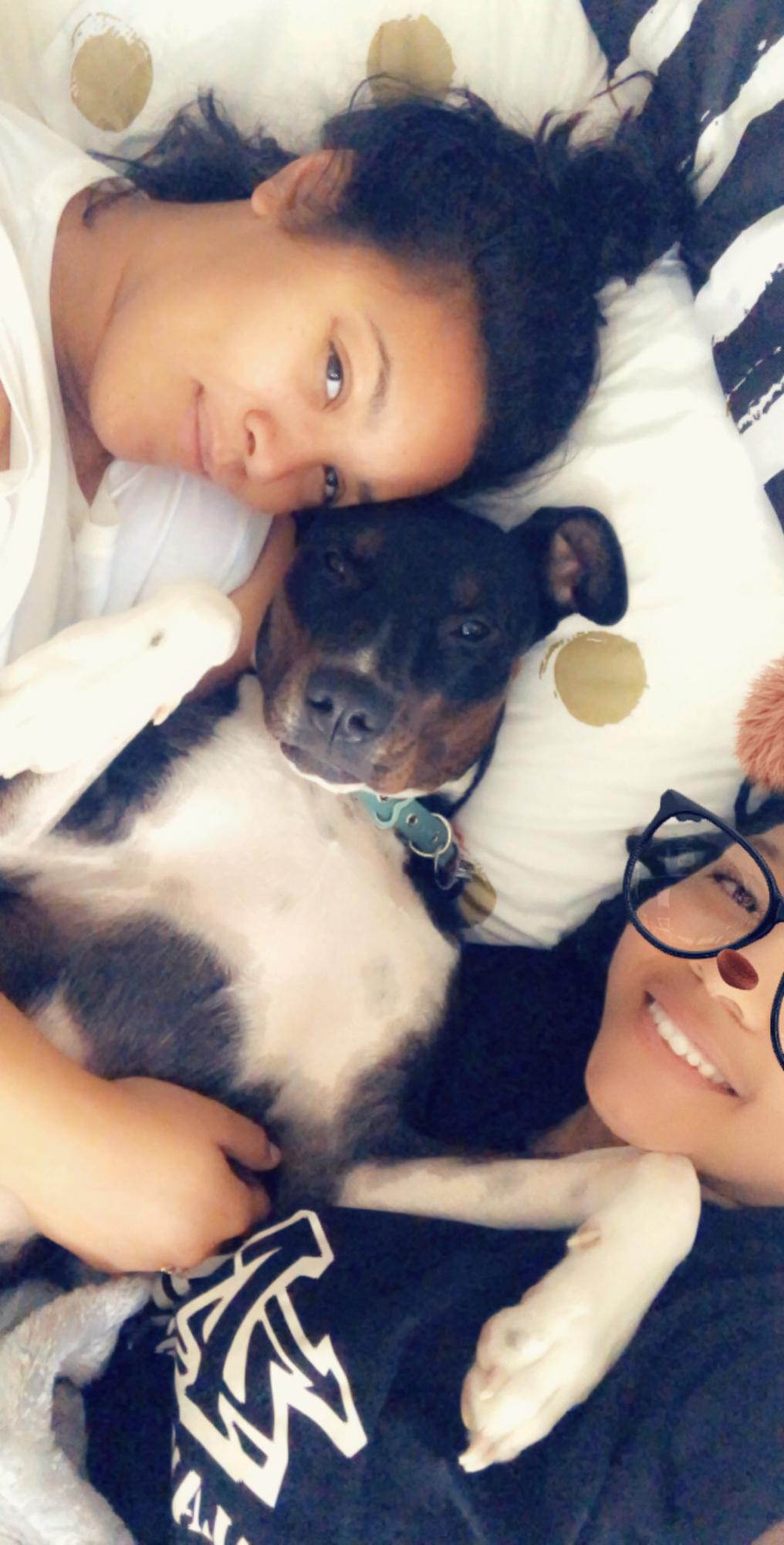 Our fur baby Aida