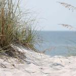 Plum Island Beach