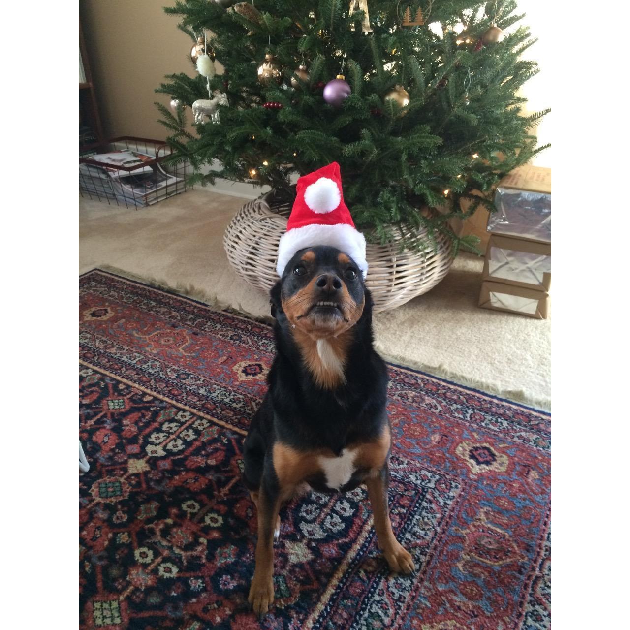Little elf.
