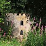 National Trust - Fyne Court