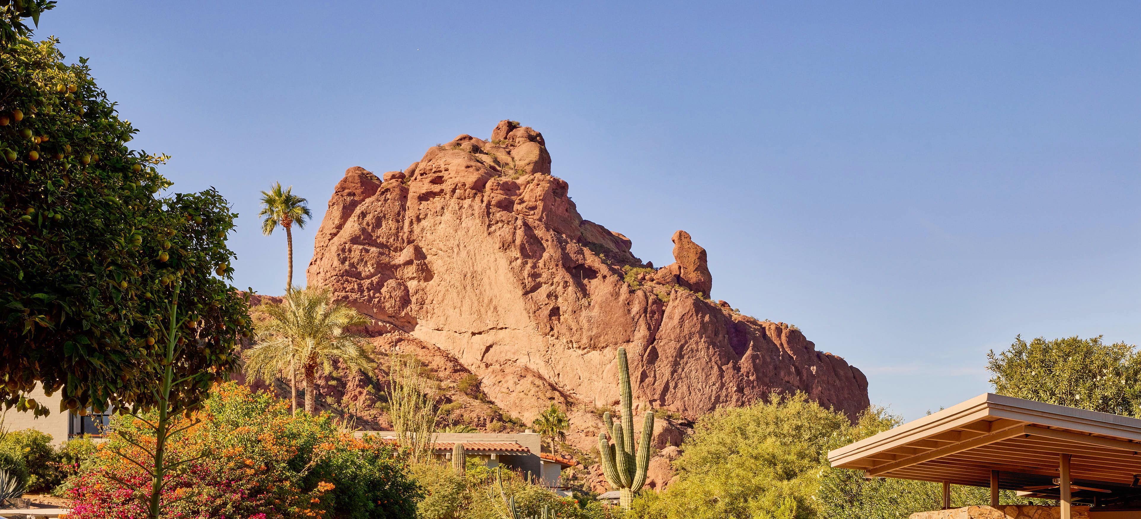 The Wedding Website of Taylor Richards and Joe DeBernardis