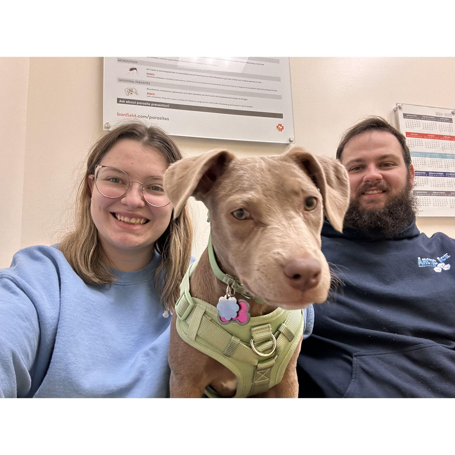 Hazels first vet appointment January 2024