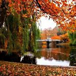 Boston Public Garden