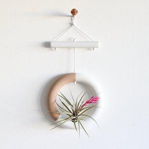 Clay Circle Tillandsia Holder