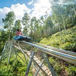 Georgia Mountain Coaster