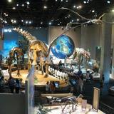 Perot Museum of Nature and Science