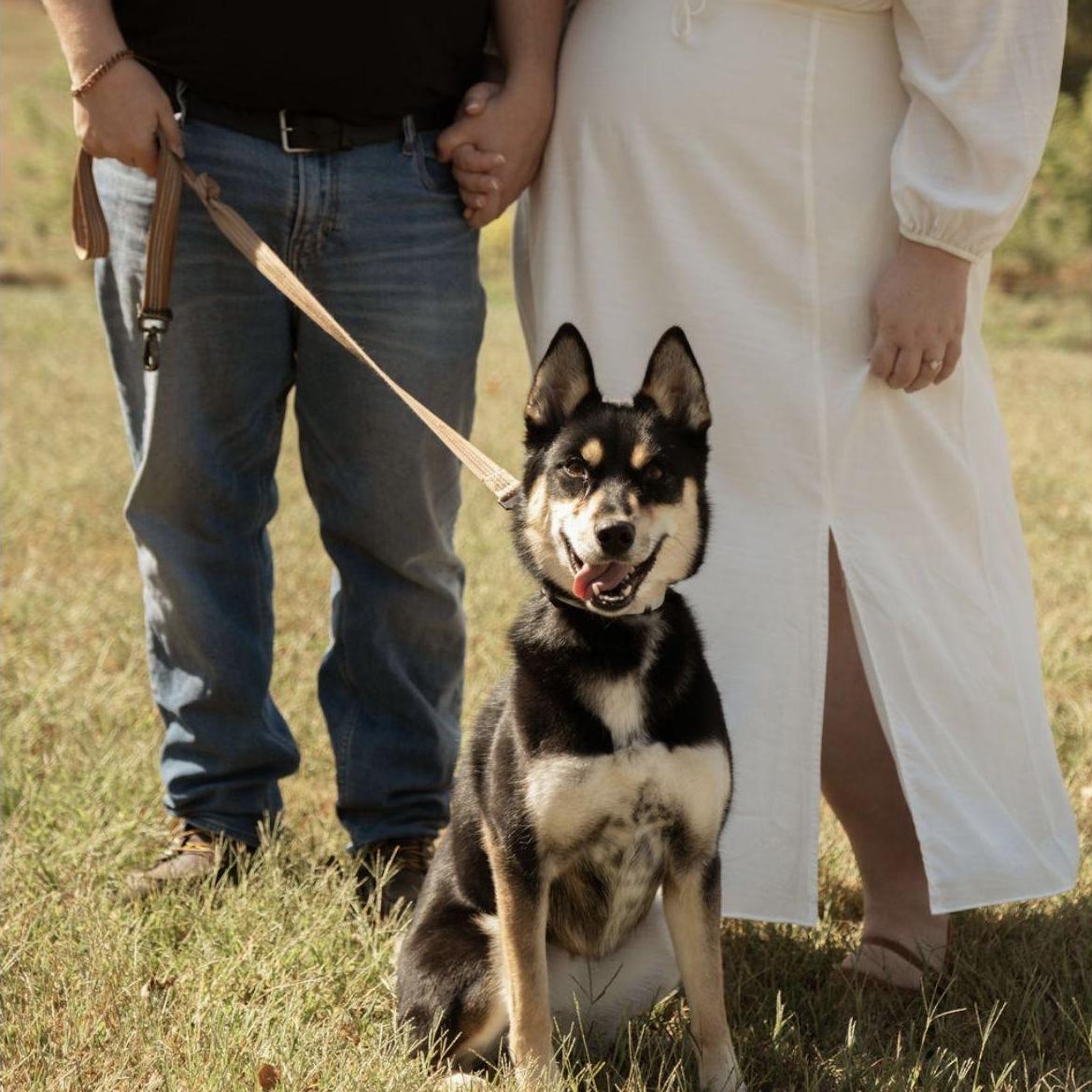 Our dog Blue! She did so good with our engagement pictures