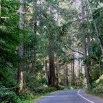 Point Defiance Park & Five Mile Drive