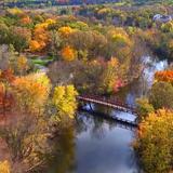 Arboretum Nature Area