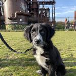 Gas Works Park