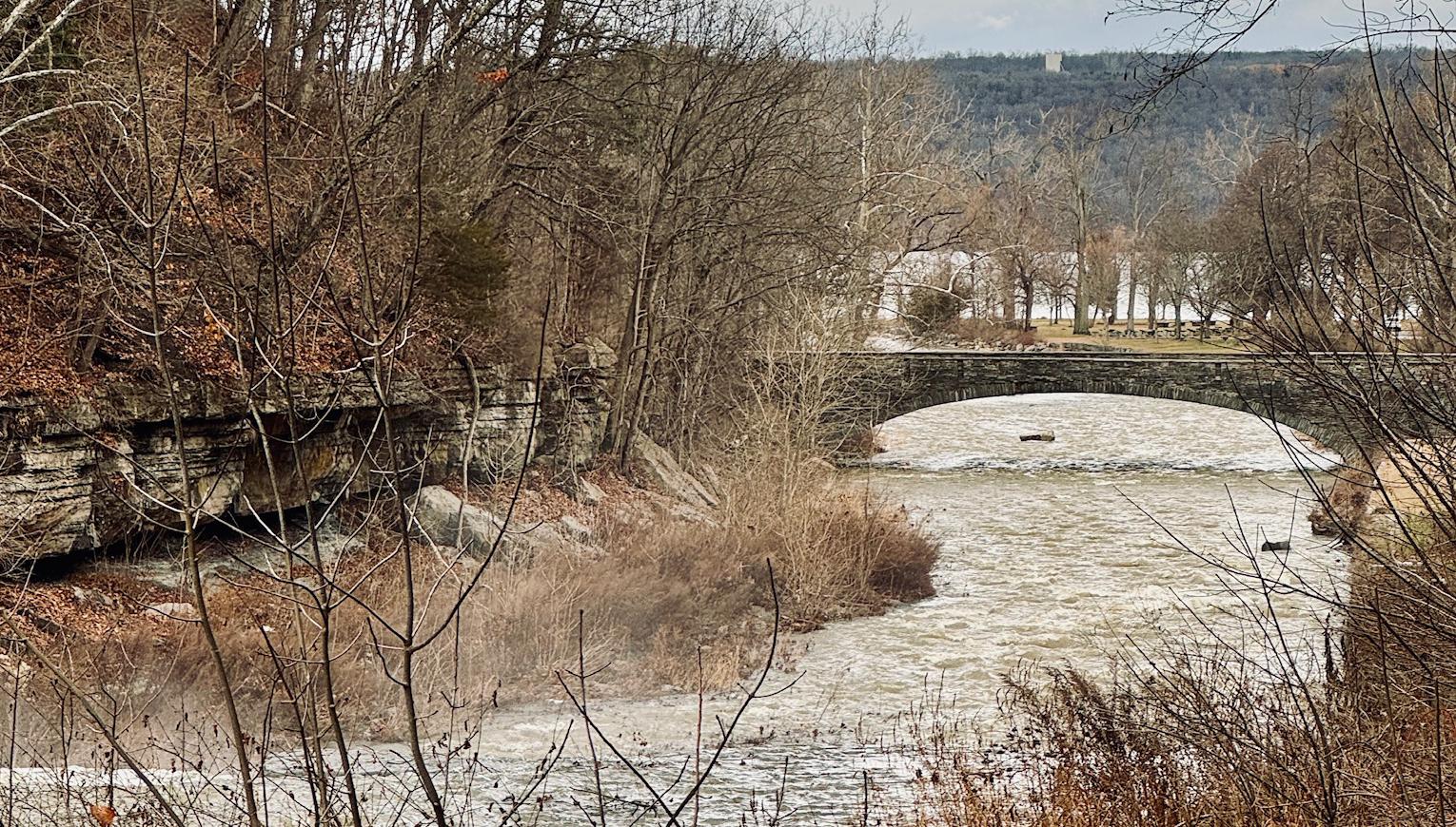 The Wedding Website of Elizabeth Coco and Logan Duvall