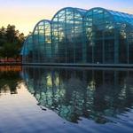 The Butterfly House