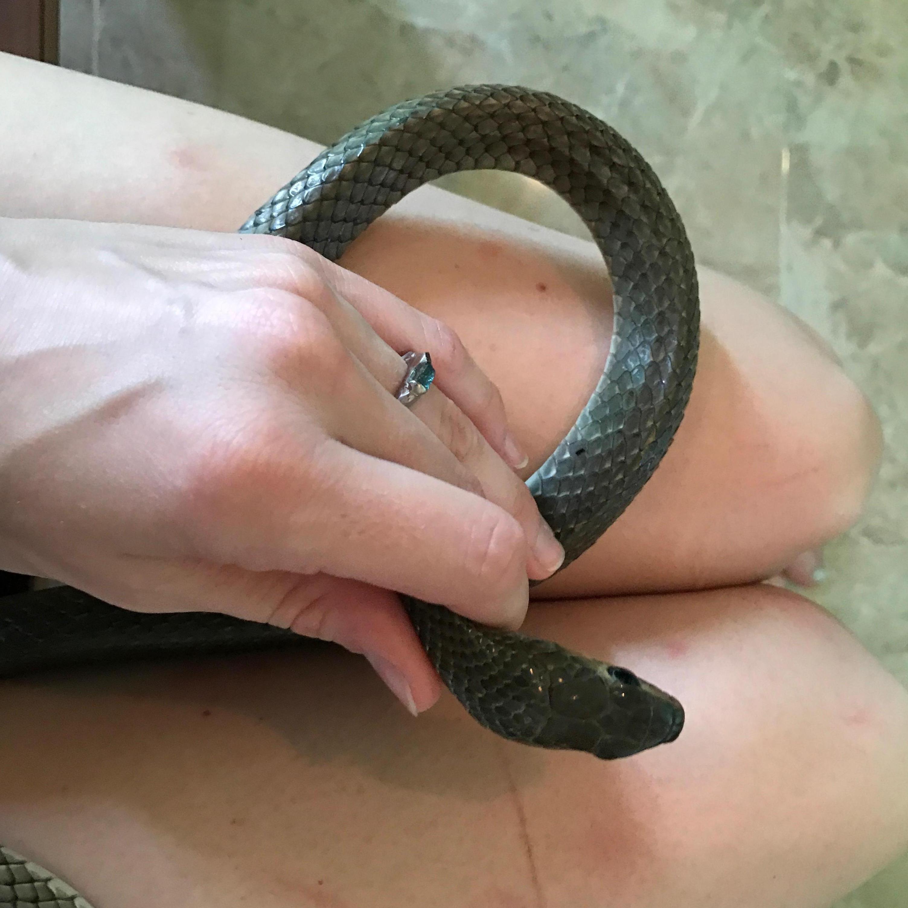 The Ring... and the serpent . Bali engagement Dec 25th 2016