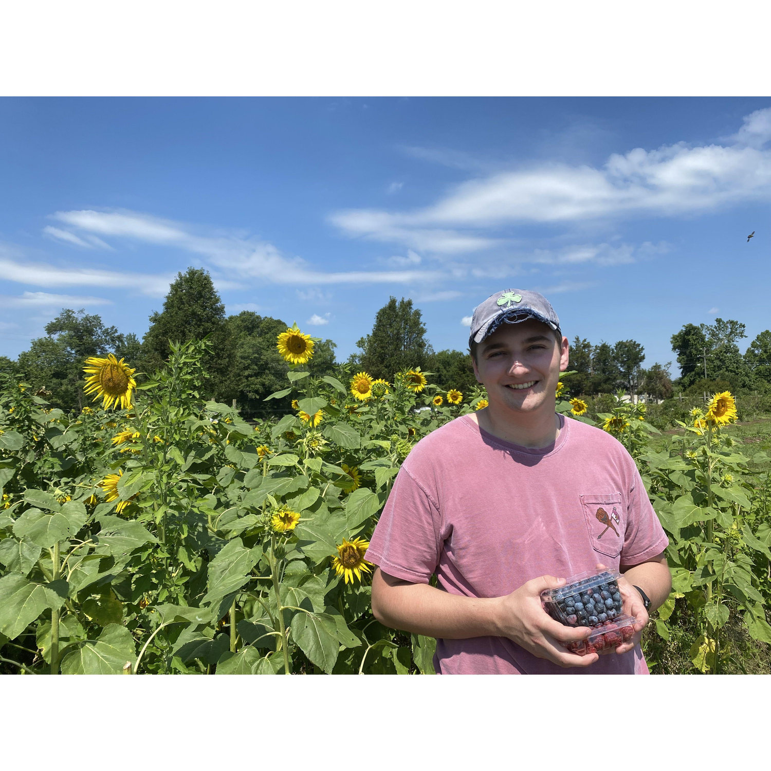 Berry farm