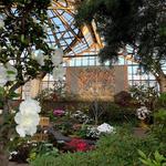 Garfield Park Conservatory