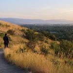 Peets Hill/Burke Park