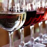 Del Vino Vineyards