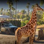 San Diego Zoo Safari Park