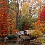 Sarah P. Duke Gardens