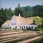 Bonneville Fish Hatchery