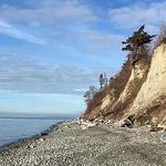 Point Whitehorn Marine Reserve