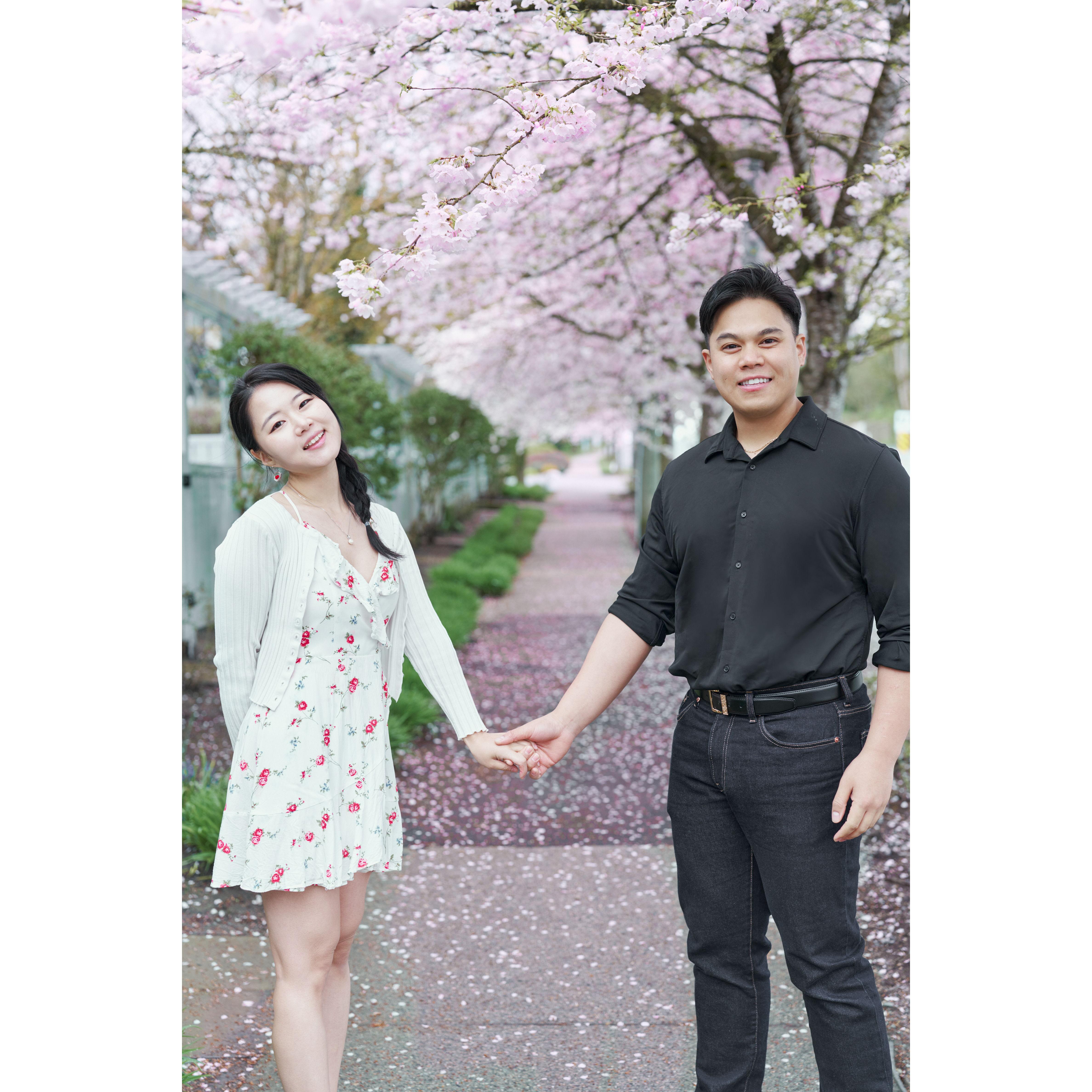 ⊹˚₊‧────────────‧₊˚⊹