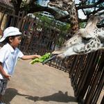 Houston Zoo