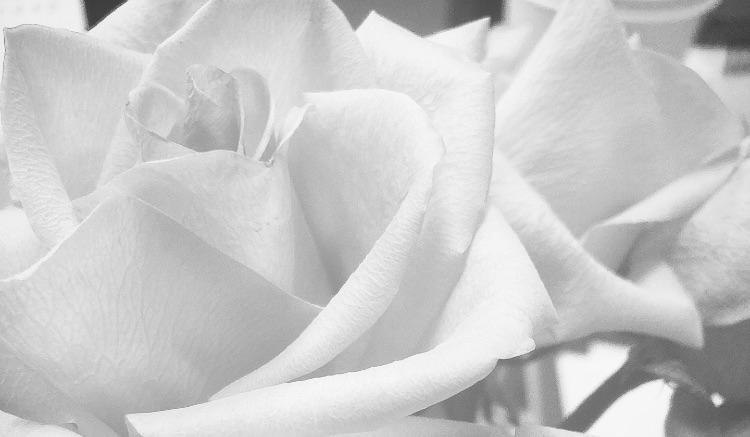 8297c426-a560-47fb-a456-26e351058713