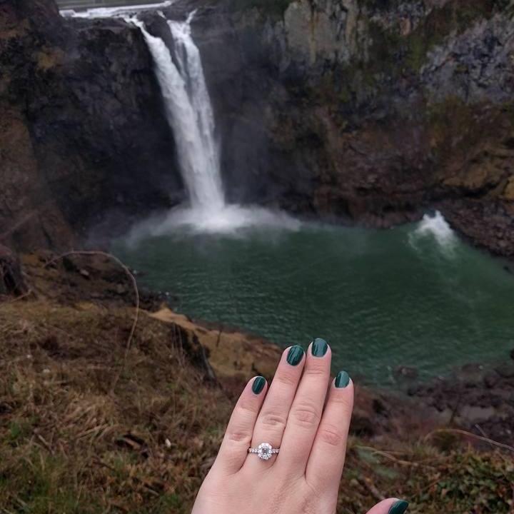The Proposal. March 2017