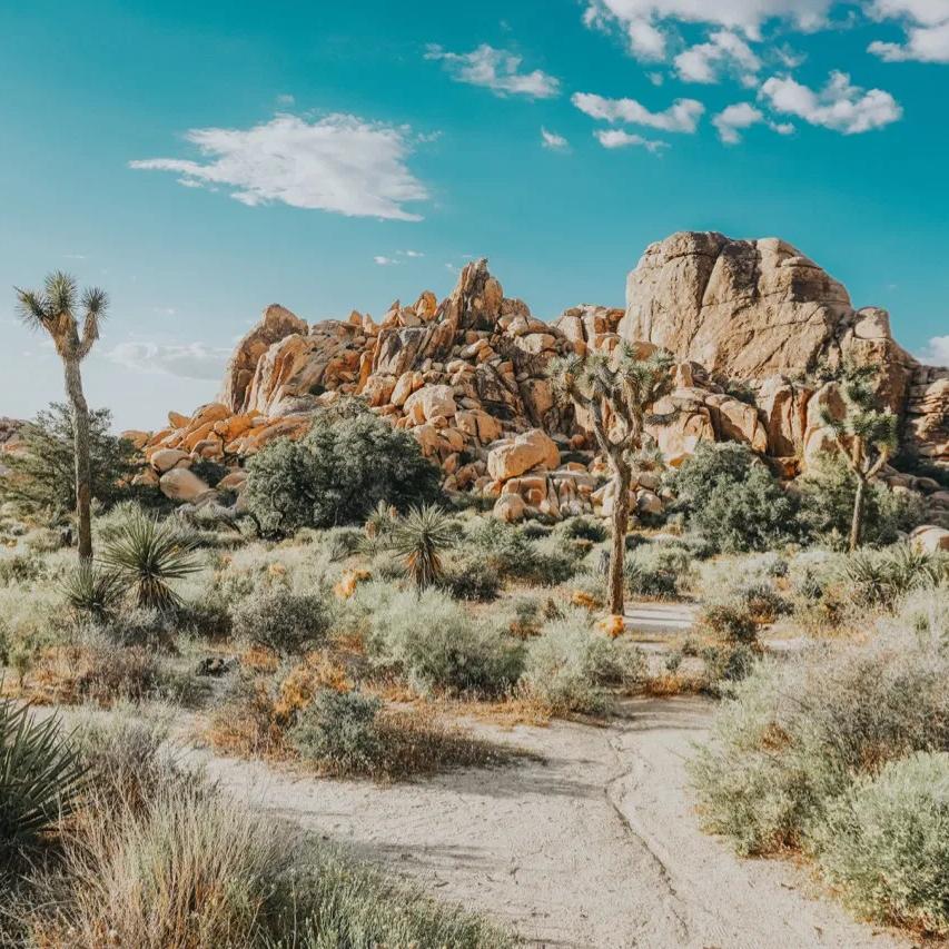 Honeymoon Stay - Joshua Tree