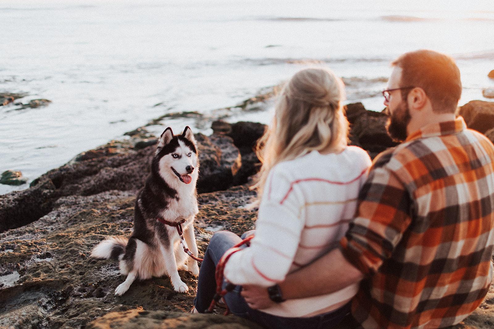 The Wedding Website of Alexa Ross and Rick Santora