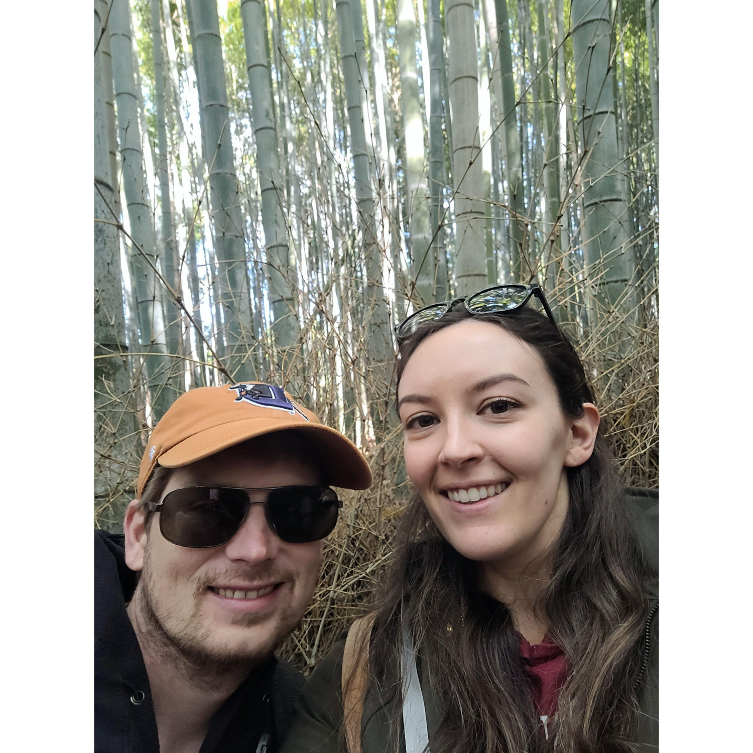 A bamboo forest outside Kyoto, Japan.