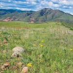 Green Mountain Trail