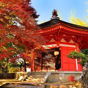 Japanese Temple Tours