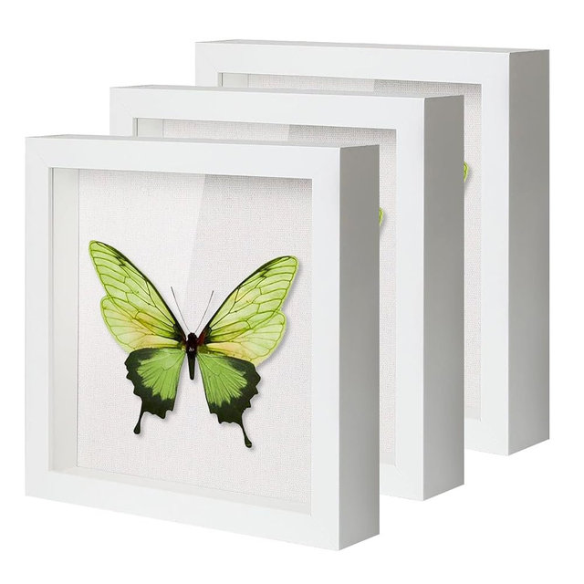 QDSSDECO 8"x8" Shadow Boxes Display Cases with Soft Linen Back Deep Wood Glass 3D Shadow Box Set for Wall and Tabletop, 3 Pack White