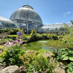 Anna Scripps Whitcomb Conservatory