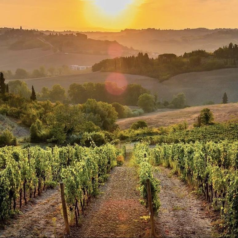 As the sun sets over the Tuscan hills, the vineyards glow a reminder of the timeless beauty surrounding our celebration.