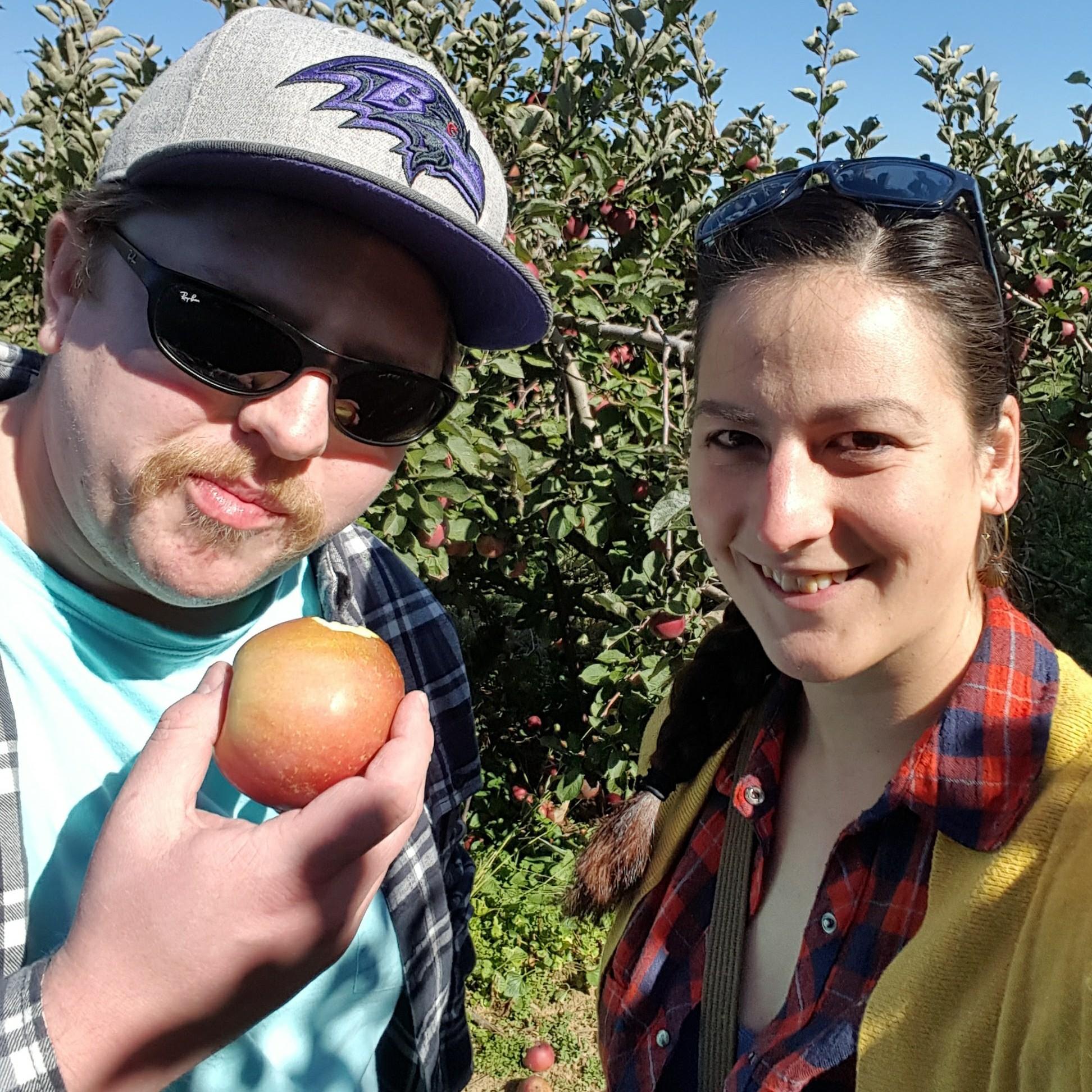 Apple Picking in Pennsylvania Fall 2016