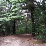 Yankee Springs Recreation Area Hiking Trails